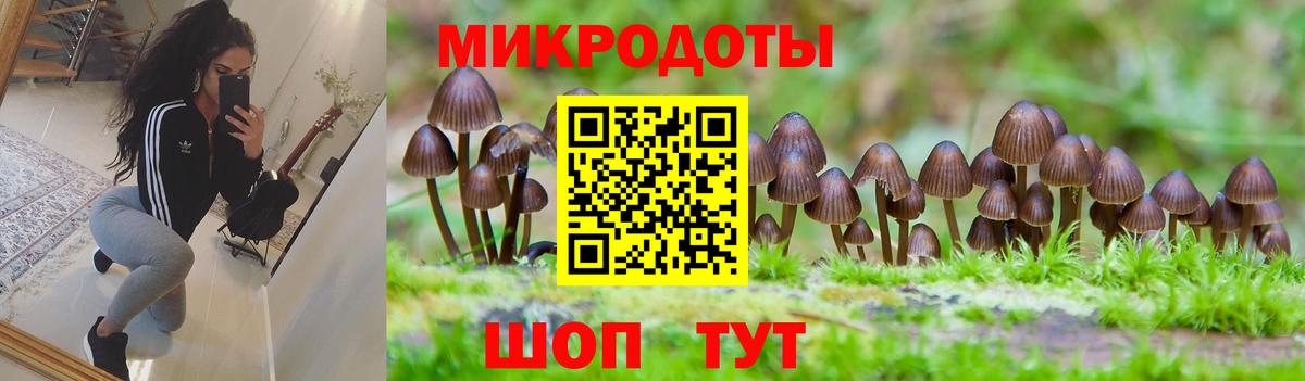 Галлюциногенные грибы MAGIC MUSHROOMS  Вход с VPN  Осинники  продажа наркотиков  Псилоцибиновые грибы Cubensis 